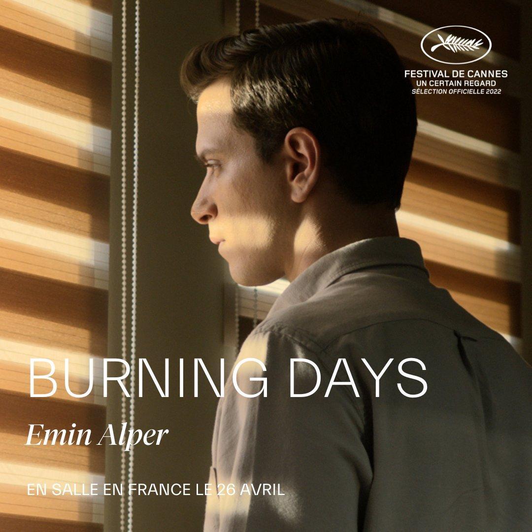 dvd burning days