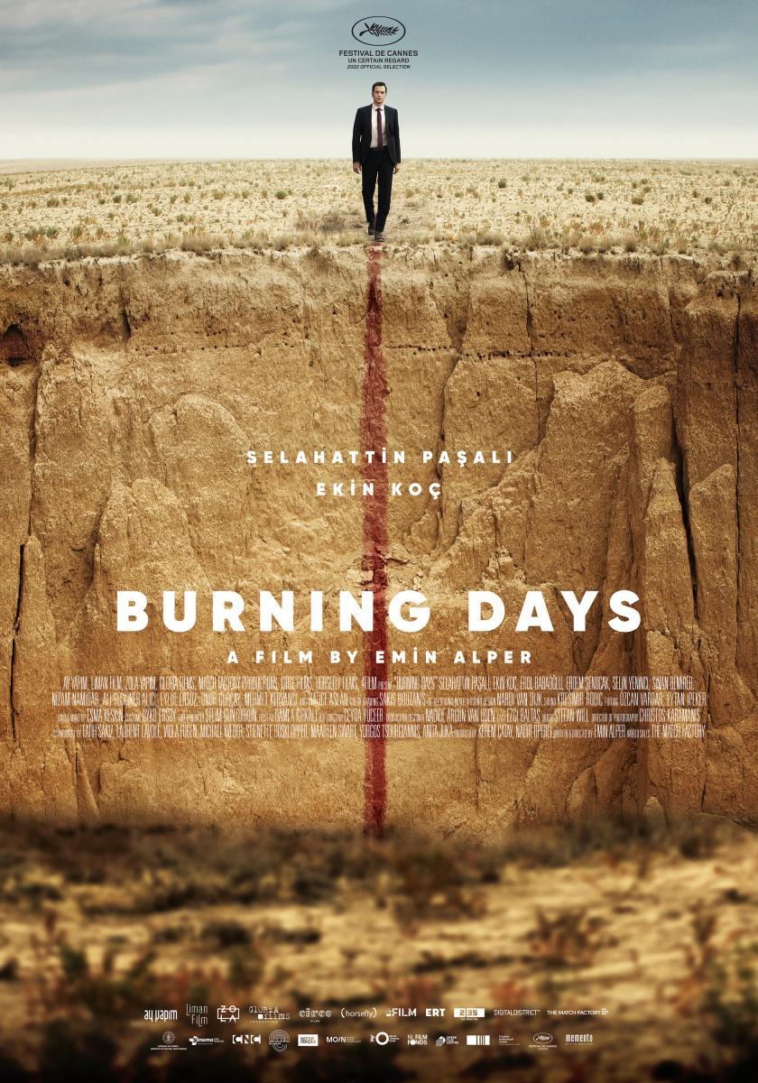 dvd burning days