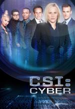 CSI: Cyber (TV Series)