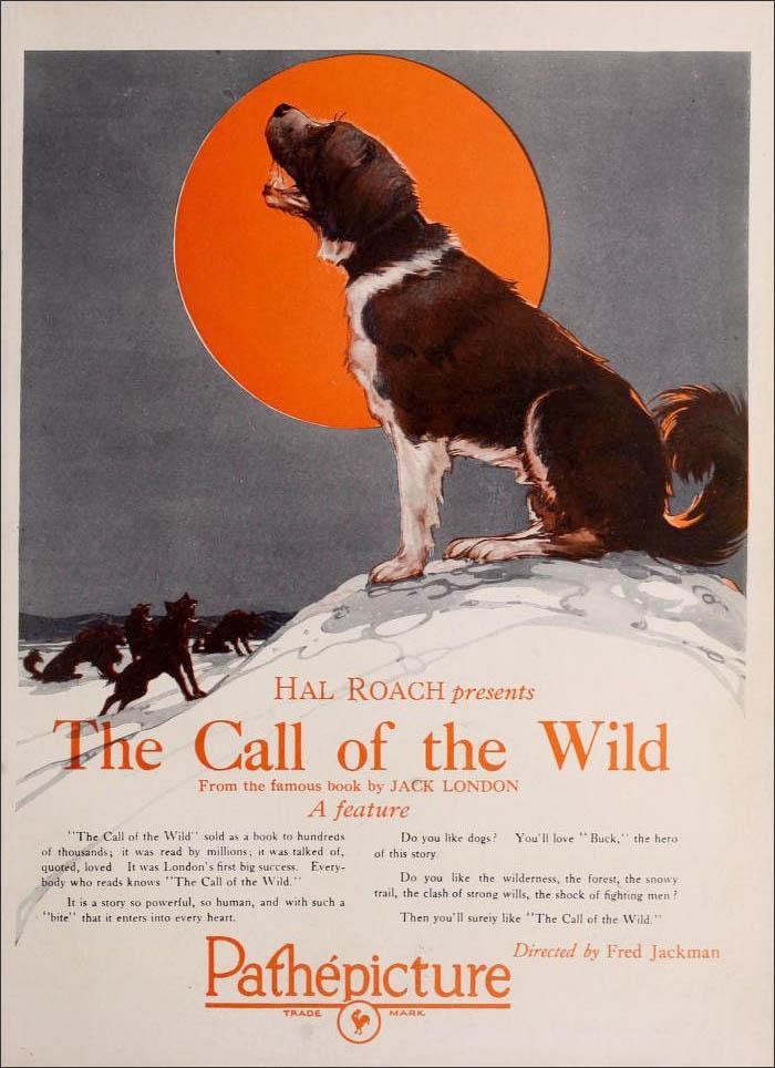 Call Of The Wild 1923 Filmaffinity