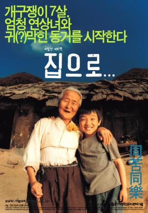 Camino a casa (2002) - Filmaffinity