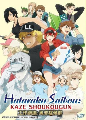 Hataraku Saibou Black: Your - Anime Access アニメ アクセス