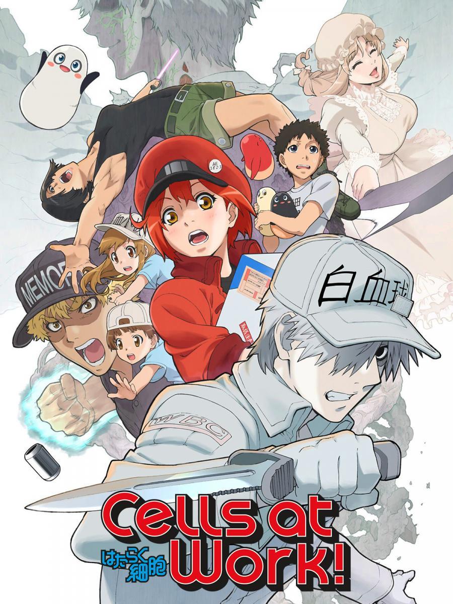 Image gallery for Cells at Work! (TV Series) - FilmAffinity