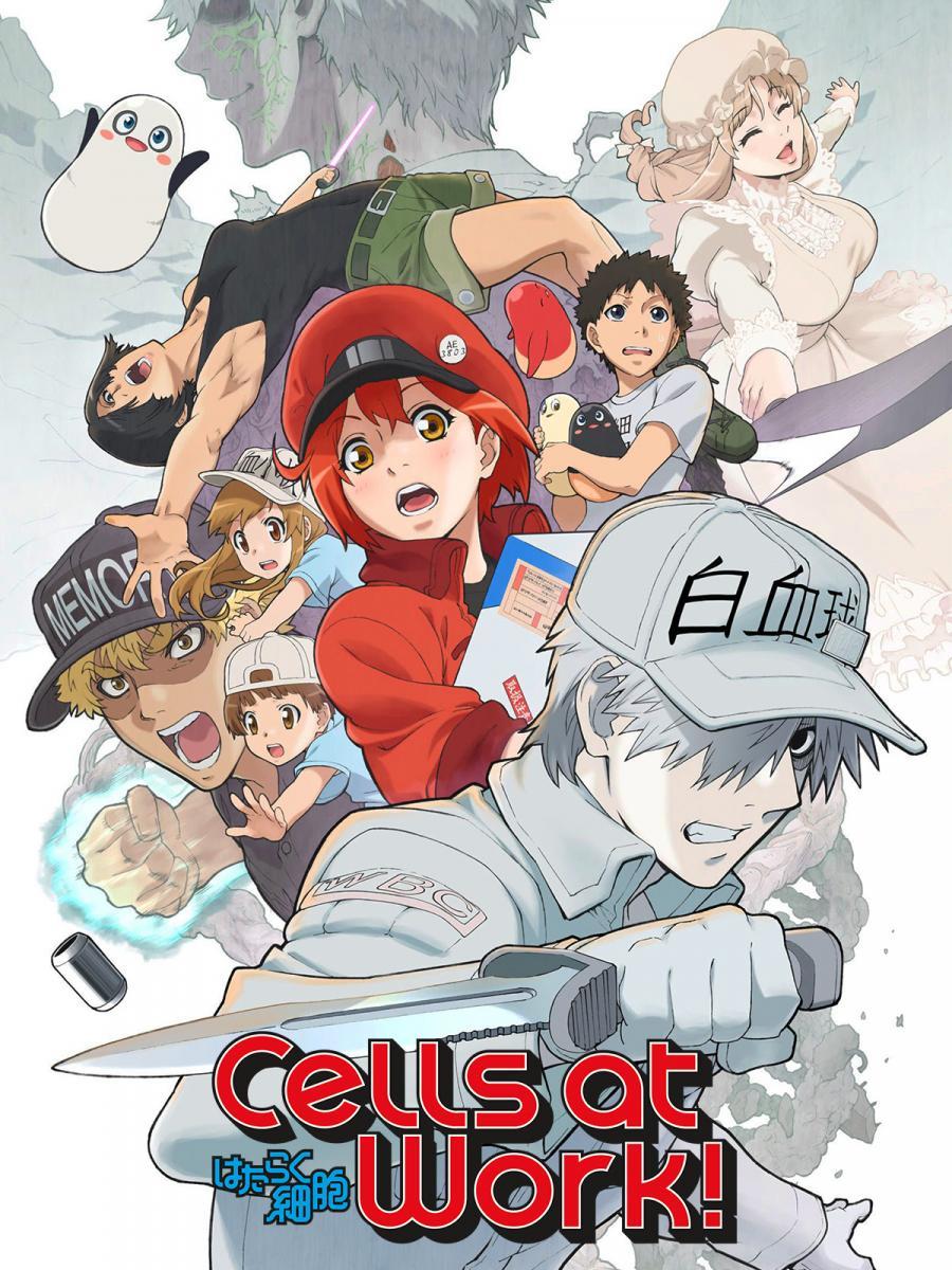 Cells at Work! (TV Series 2018–2021) - News - IMDb