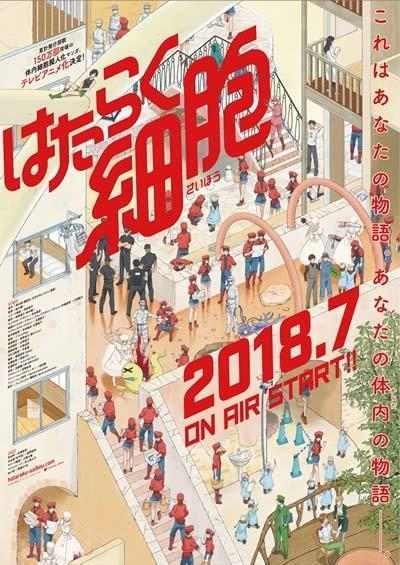 Hataraku Saibou Black: Your - Anime Access アニメ アクセス