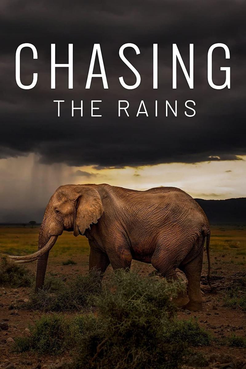 Image gallery for Chasing the Rains (TV Miniseries) FilmAffinity