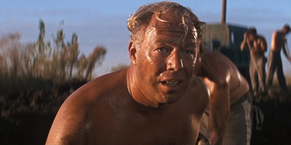 Image gallery for Cool Hand Luke - FilmAffinity