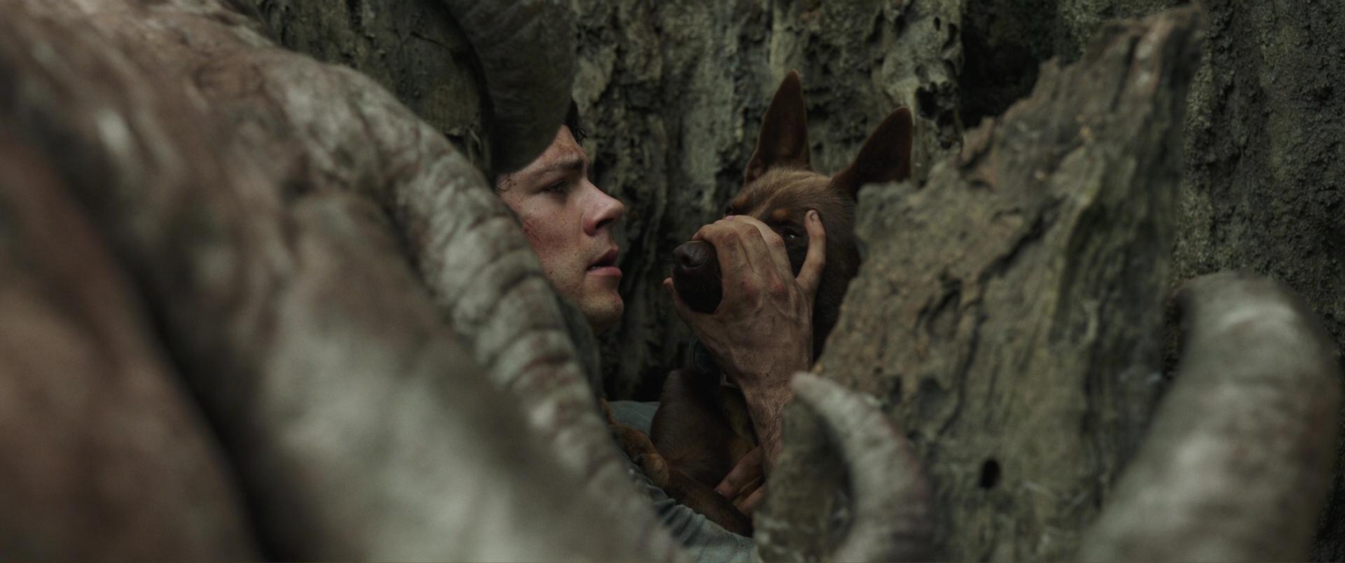 Netflix estrena "Love and Monsters", la nueva película de supervivencia y criaturas