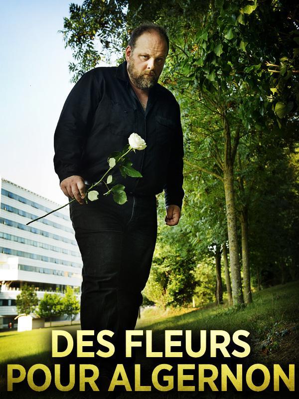 Flores para Algernon (TV) (2014) FilmAffinity