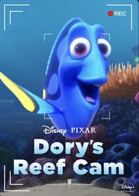 Dory S Reef Cam Filmaffinity