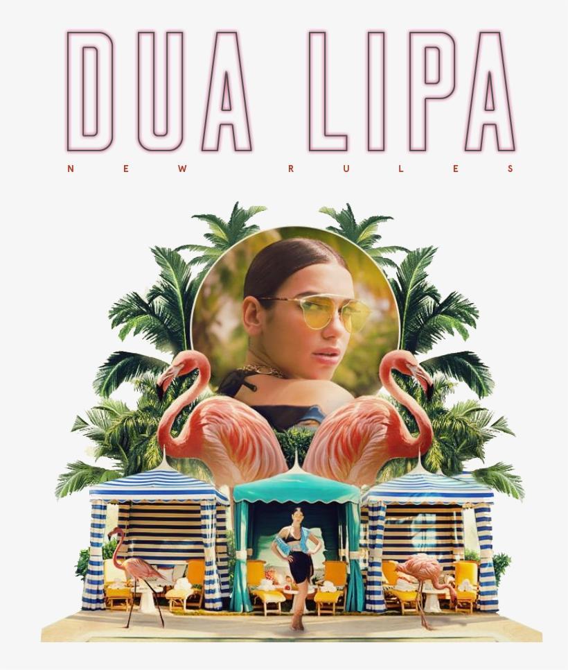 Sección visual de Dua Lipa: New Rules (Vídeo musical) - FilmAffinity