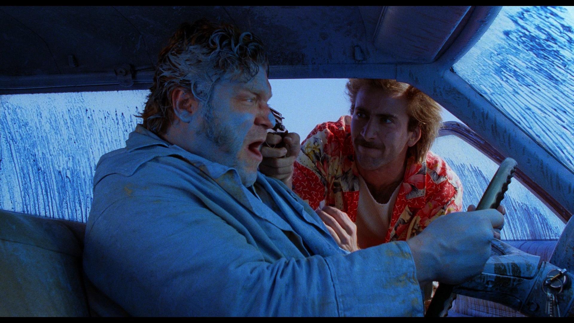 воспитание аризоны