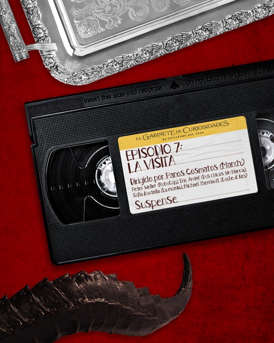 Sección visual de El de curiosidades La visita (TV
