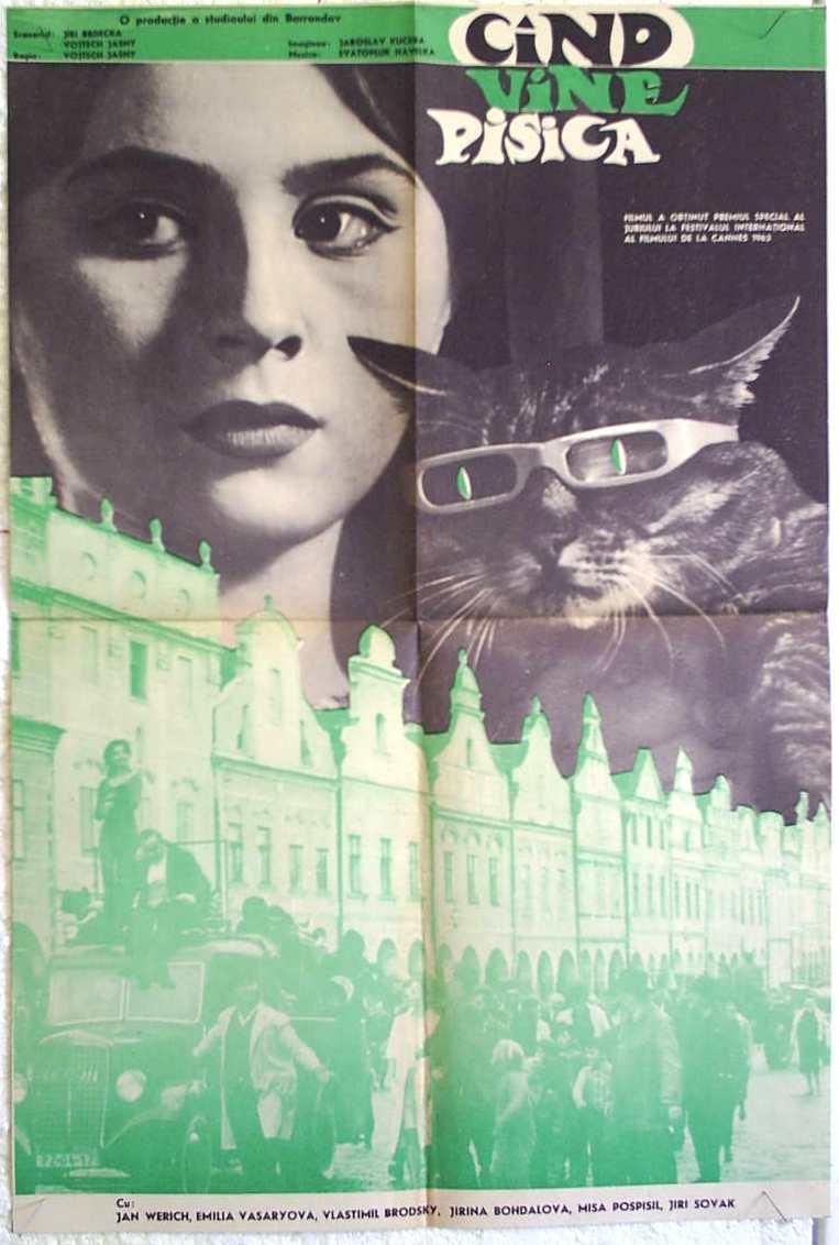 gato de (Un día, un gato) (1963) - Filmaffinity