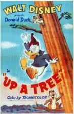 El pato Donald: Subido al árbol (C)