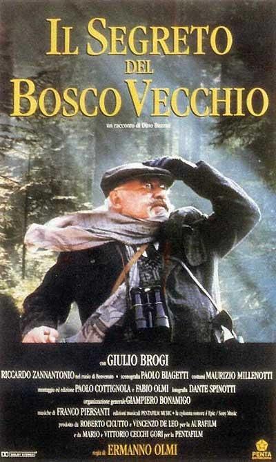 El Secreto Del Bosque Viejo 1993 Filmaffinity