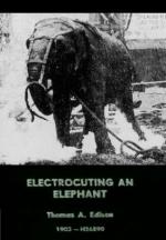 Electrocuting an Elephant (S)