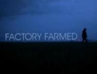 Factory Farmed (S) (C) - Poster / Imagen Principal