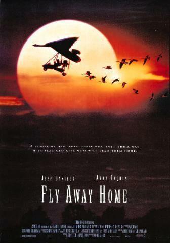 Fly Away Home 1996 Filmaffinity