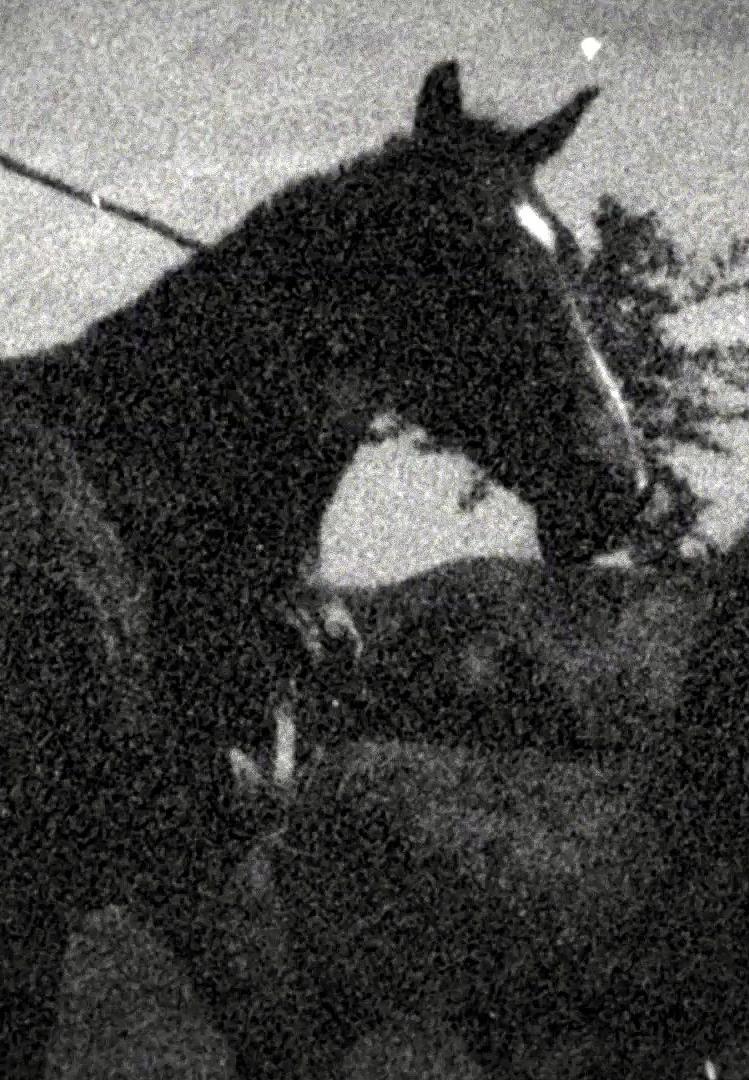 Image gallery for Flying Saucer Attack Instrumental 7 (Music Video) FilmAffinity