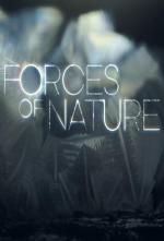 Fuerzas de la naturaleza (Miniserie de TV)