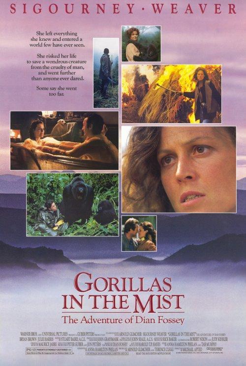 Gorilas En La Niebla 1988 Filmaffinity