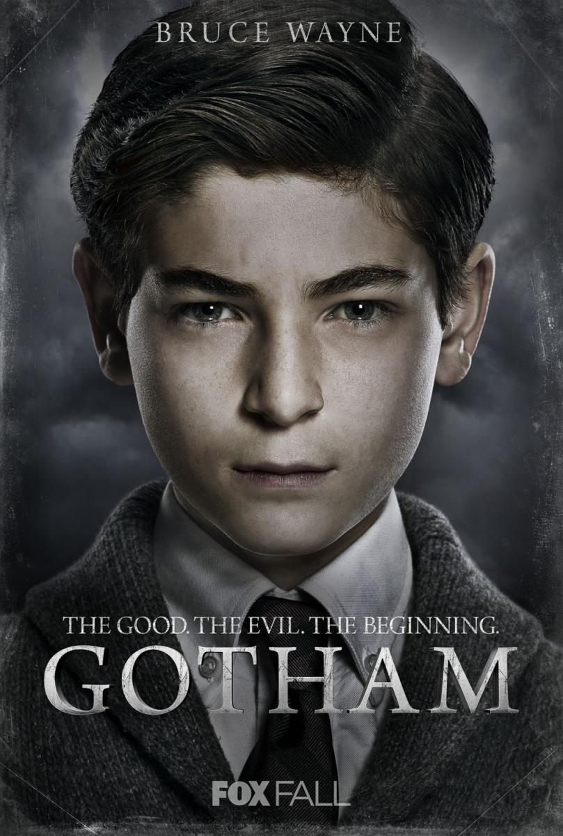 Sección visual de Gotham (Serie de TV) - FilmAffinity