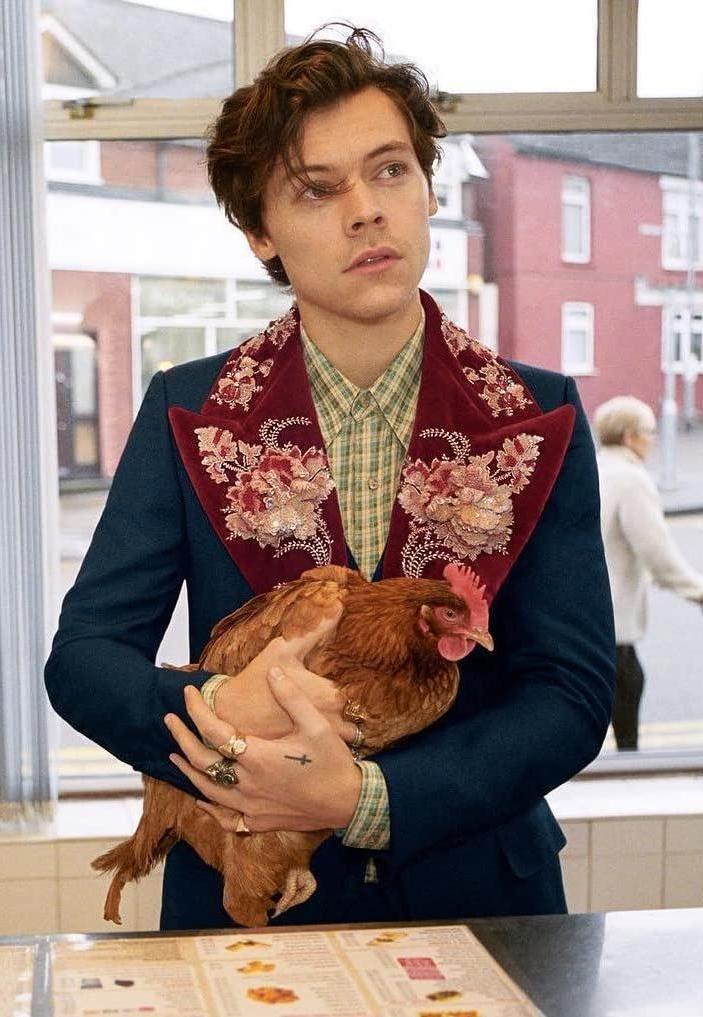 Gucci Men s Tailoring Campaign Harry Styles 2018 Filmaffinity