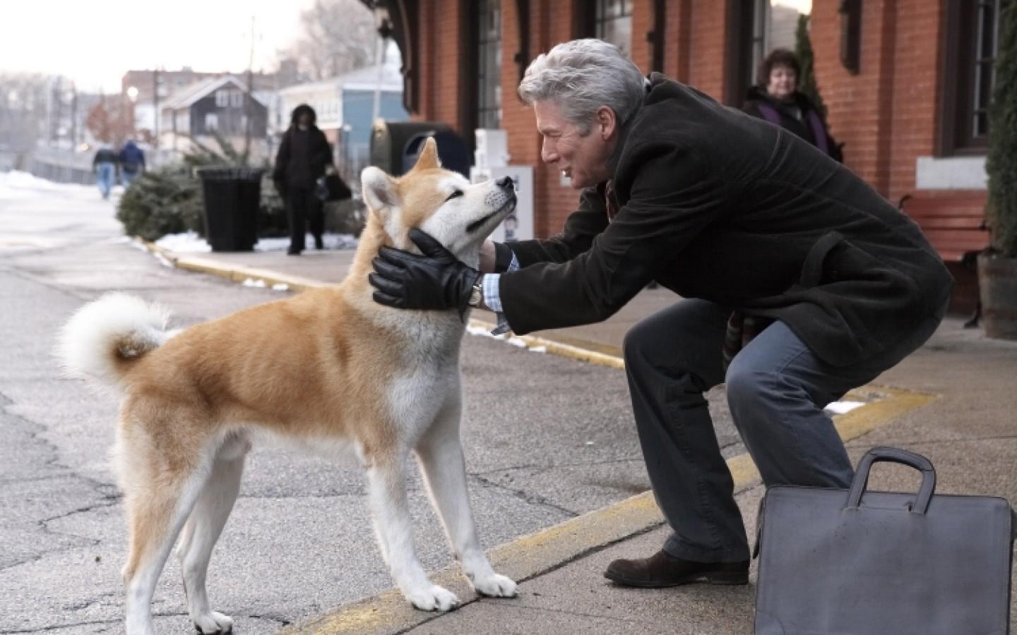Get to Know the Animal Trainers and the Stars of the Hachi Dog Show