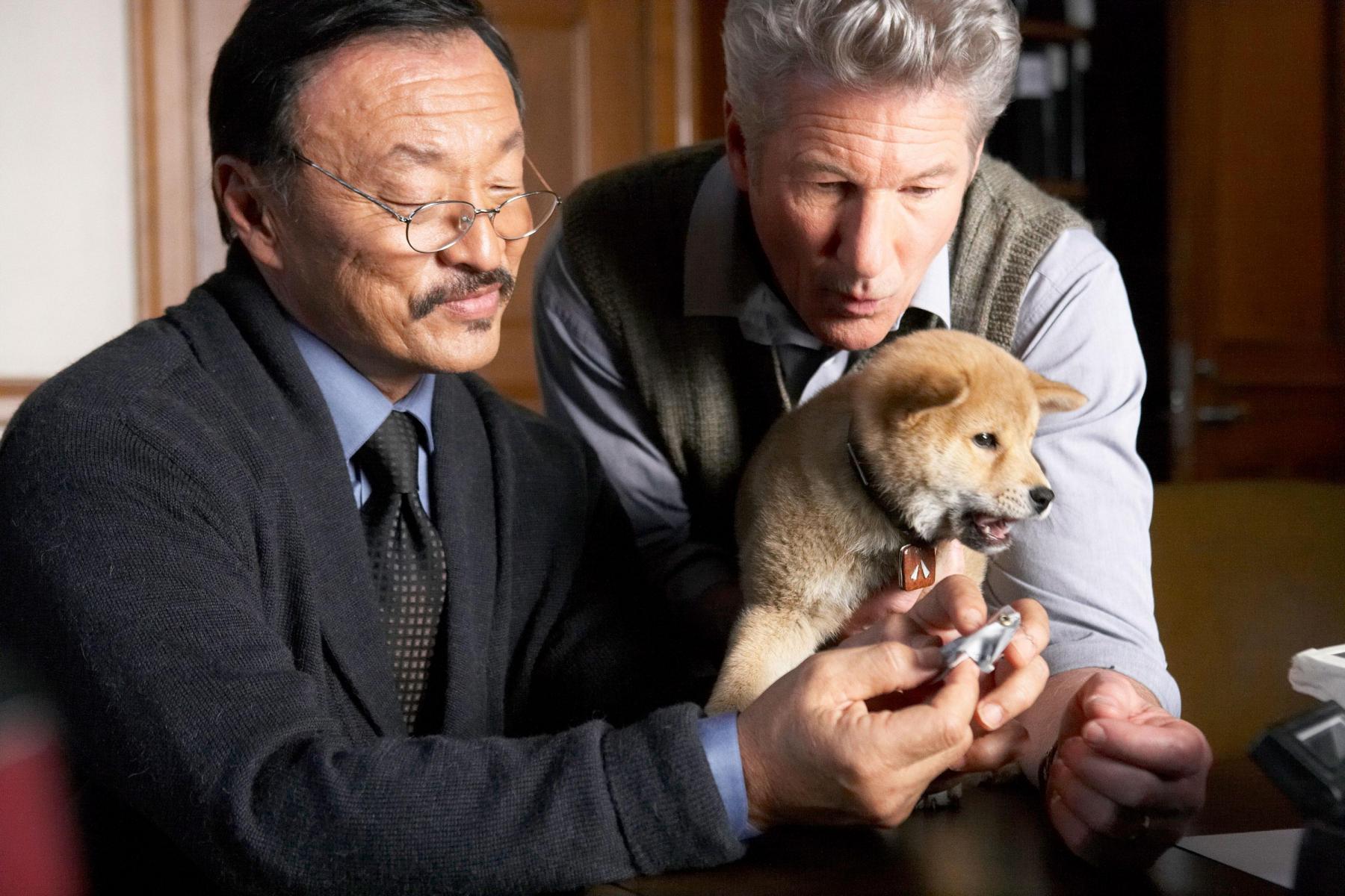Image gallery for Hachi A Dog