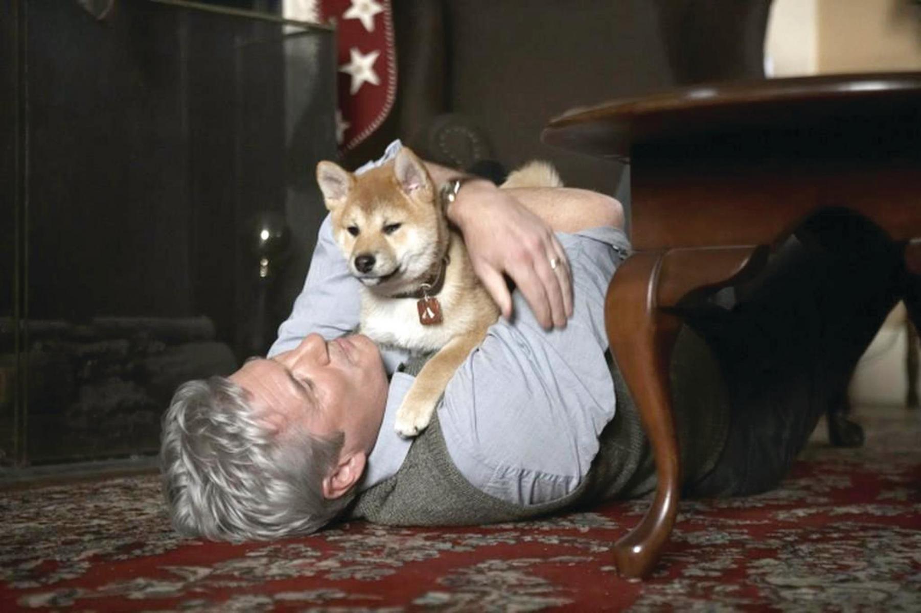 Hachi A Dog S Tale Hachiko A Dog S Story 2009 Filmaffinity