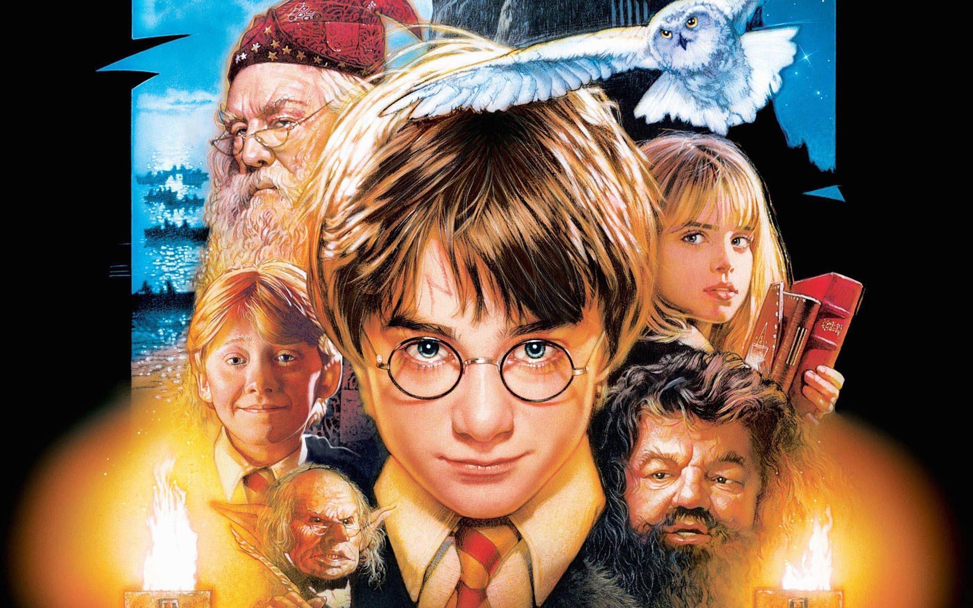 Harry Potter y la piedra filosofal 1 (Harry Potter and the Sorcerers S