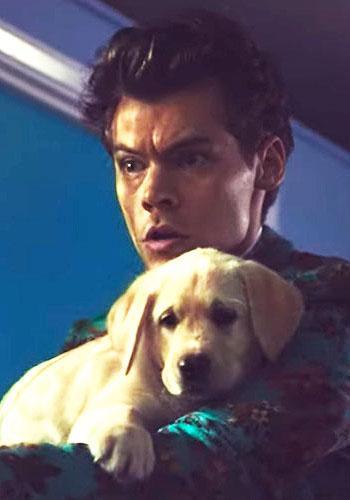 Image gallery for Harry Styles: Kiwi (Music Video) - FilmAffinity