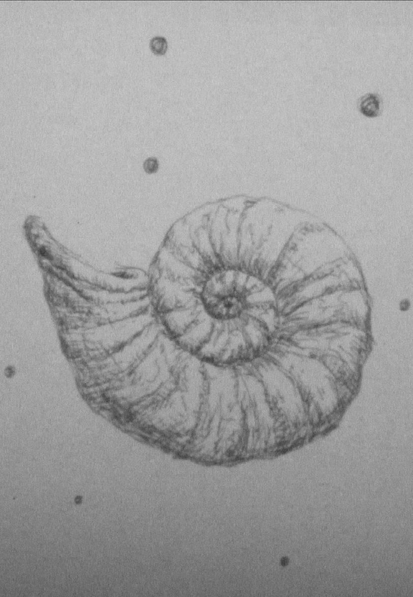 Image gallery for Heavenly Bodies’ Score (S) FilmAffinity