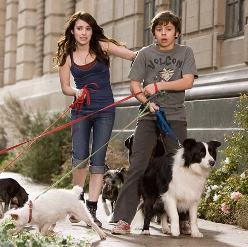 acortar Aplicar emocionante Hotel para perros (2009) - Filmaffinity