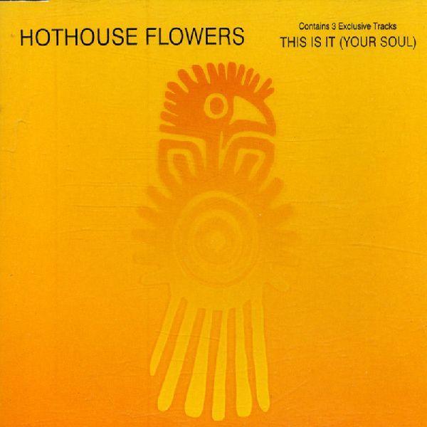 Sección visual de Hothouse Flowers This Is It Your Soul (Vídeo musical) FilmAffinity