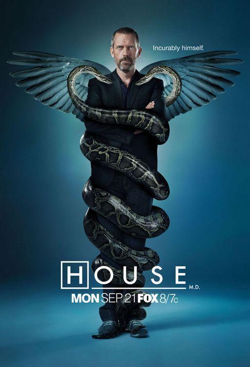 Sección Visual De House (Serie De TV) - FilmAffinity