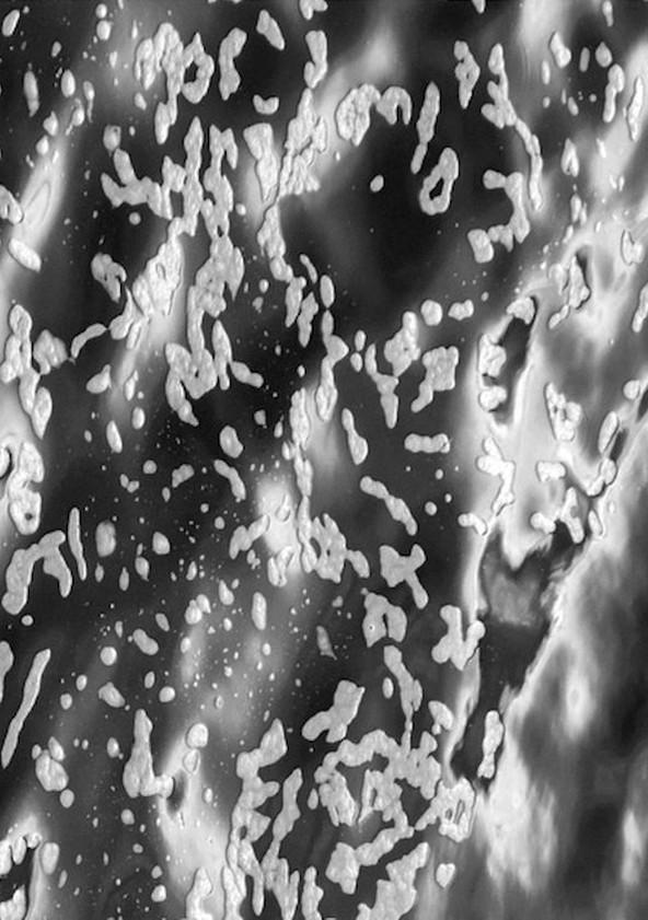 Sección visual de Indefinite Pitch (C) FilmAffinity