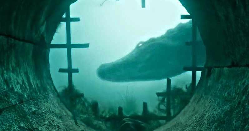 Infierno Bajo El Agua 2019 Filmaffinity