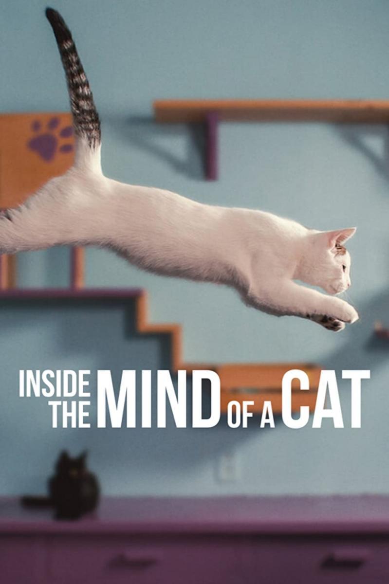 A Cat's Life (2023) - Filmaffinity