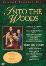 Into the Woods (TV)