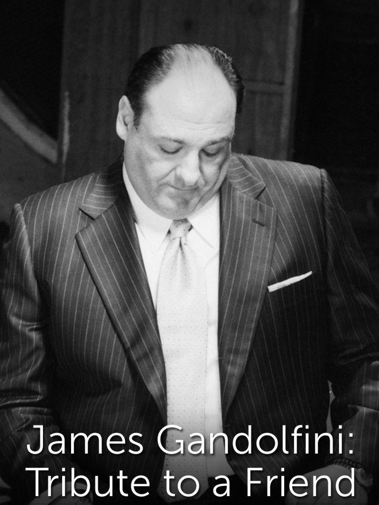 Image gallery for James Gandolfini Tribute To A Friend (TV) FilmAffinity