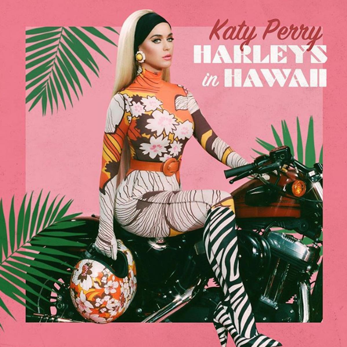 Perry gallery katy Katy Perry