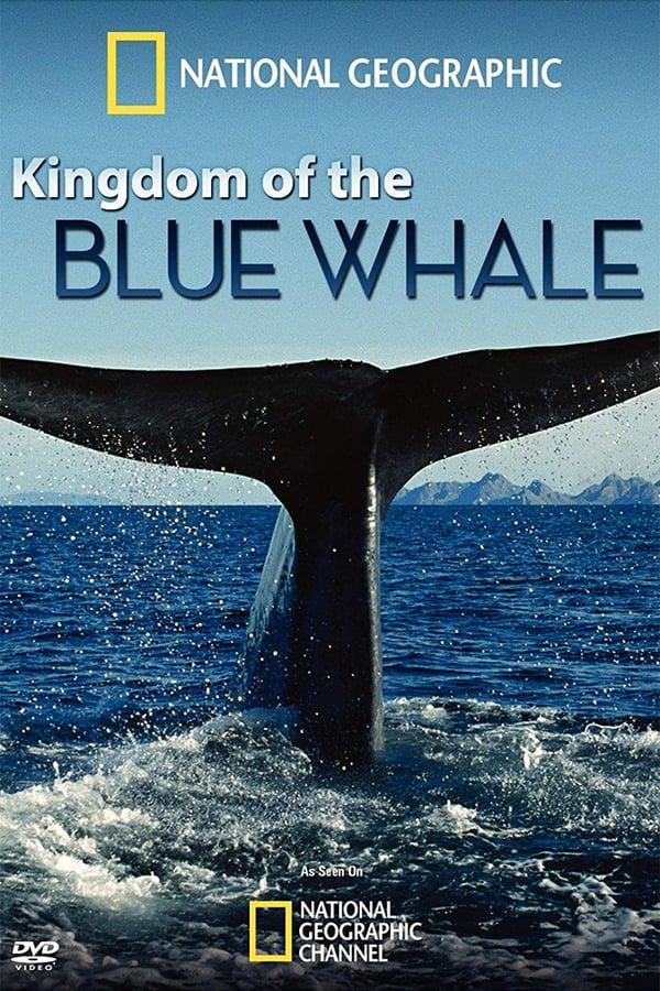 Image gallery for Kingdom of the Blue Whale (TV) - FilmAffinity