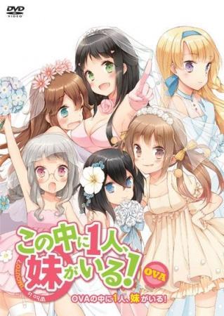 Kono Naka Ni Hitori Imouto Ga Iru Ani Imouto Koibito S 13 Filmaffinity Kono Naka Ni Hitori Imouto Ga Iru Ani Imouto Koibito S 13 Filmaffinity