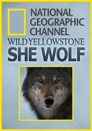 La loba de Yellowstone (2014) - Filmaffinity