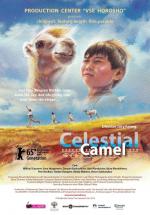 Las aventuras de Bayir y el camello 