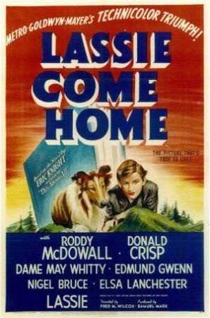 Lassie Come Home (2020) - IMDb