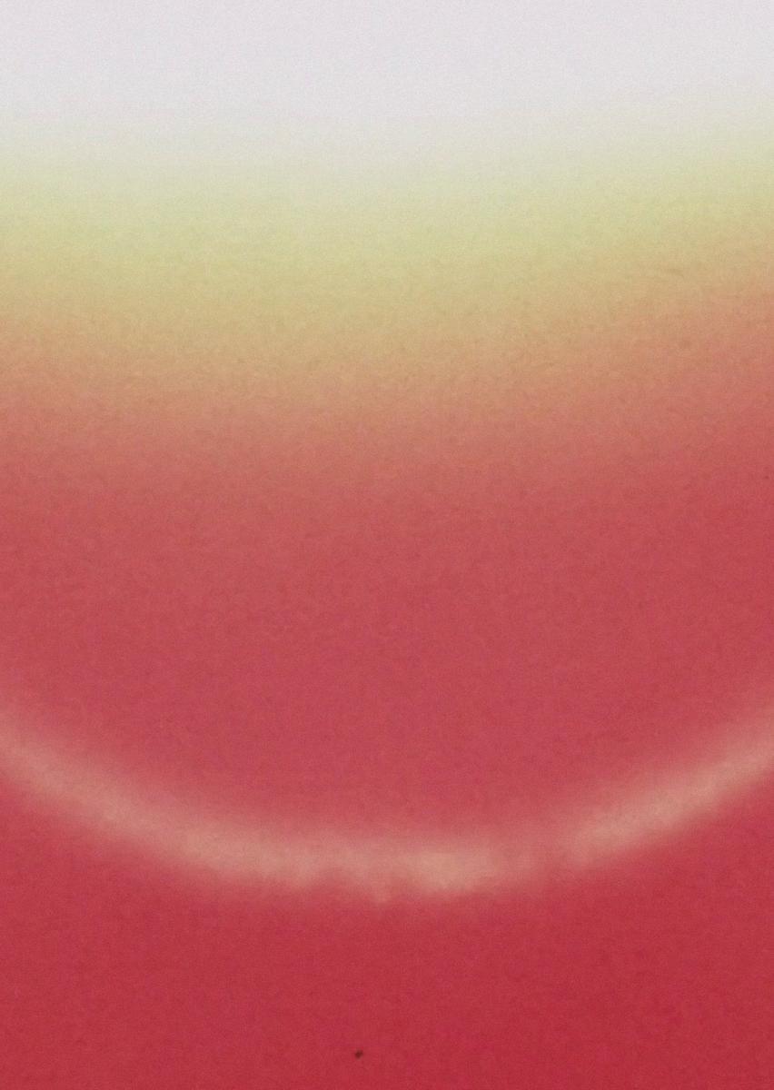 Image gallery for Light Licks Pardes Counting Flowers on the Wall (S