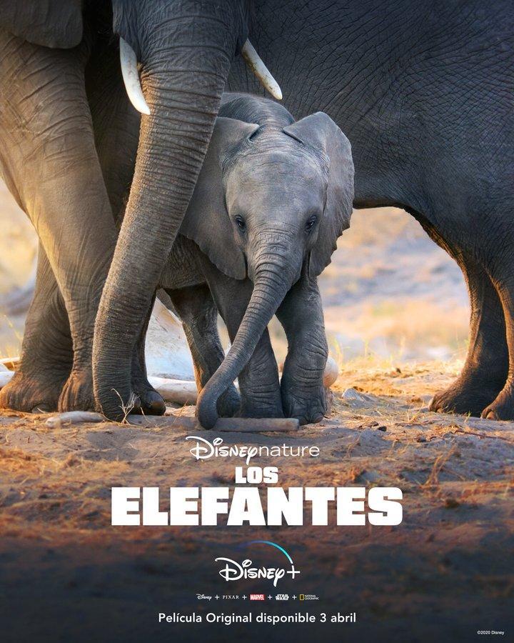 Los elefantes (2020) - Filmaffinity